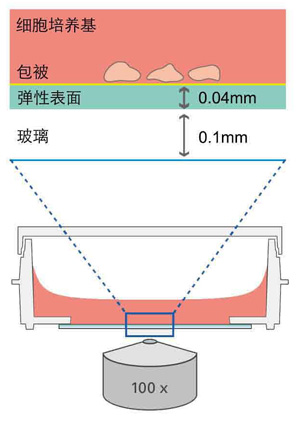 底部側(cè)面圖.jpg