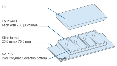 S_8048X_Slide_4Well_KF.jpg